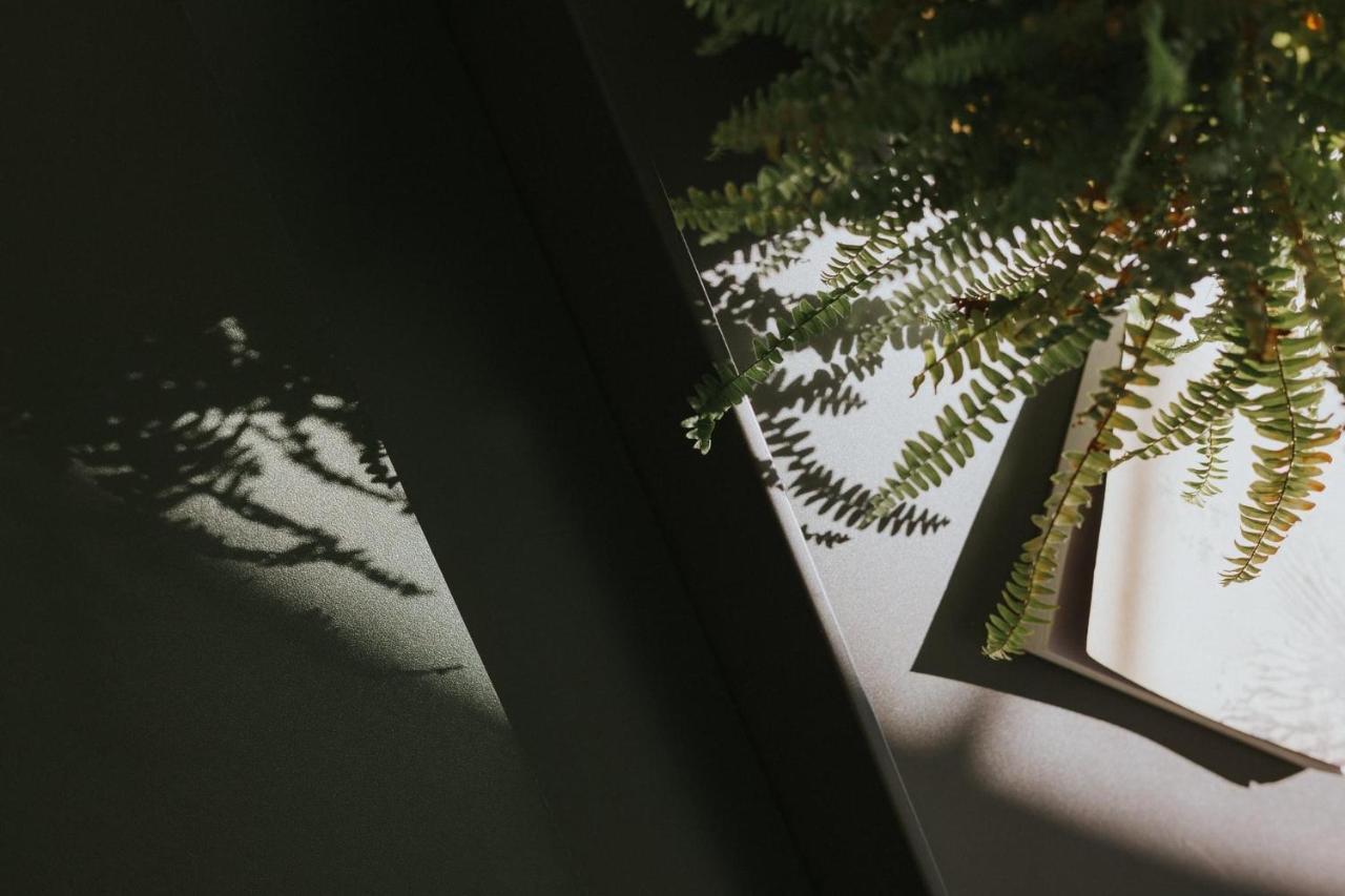 Sunrise Yunqi Teahouse Apartamento Alishan Exterior foto